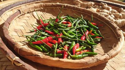 Piment La Réunion