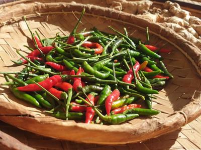 Piment récolté dans un jardin à La Réunion : "Piment La Cour" Piment La Réunion