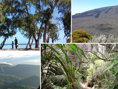 Photos nature de La Réunion Photos nature de La Réunion