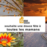 Bonne fête des mères à toutes les mamans :)