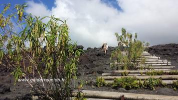 Point de vue sur les anciennes coulées de lave à La Réunion