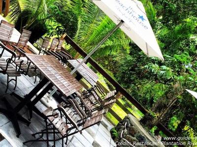 Restaurant River Beach à La Réunion - La Terrasse Restaurant River Beach à La Réunion - La Terrasse