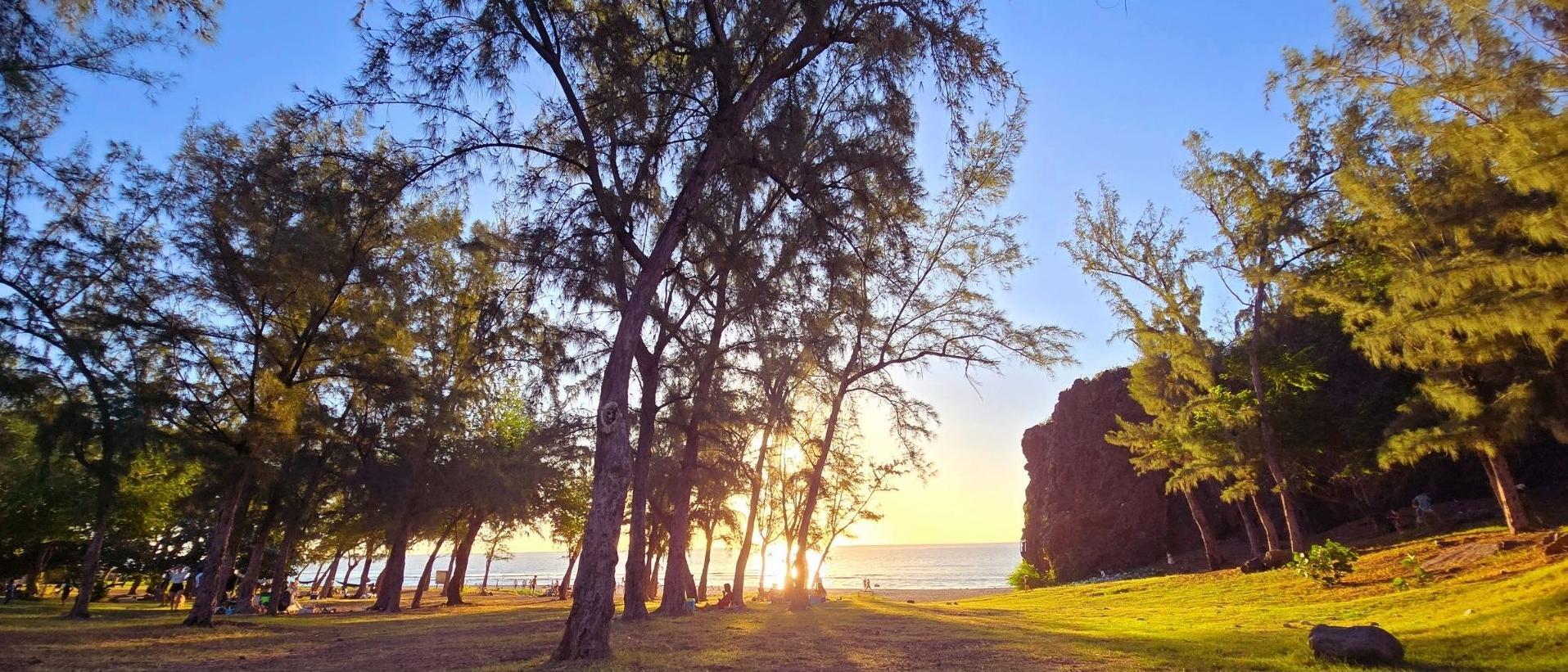 Calendrier La Réunion (974)