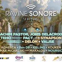 Réunion Sonore Festival Réunion Sonore Festival