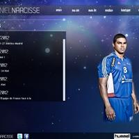 Capture d'écran du site internet de Daniel Narcisse (le 3 décembre 2012)
