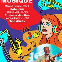 Fête de la musique à Cilaos