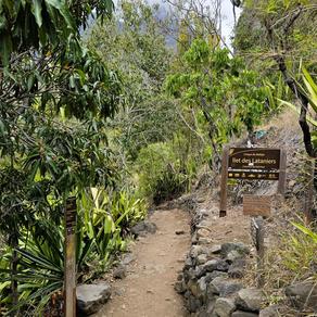 Gite Snack chez Pifane à l'îlet des Lataniers - Mafate