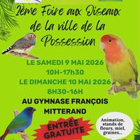 Foire aux oiseaux - La Possession - La Réunion