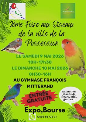 Foire aux oiseaux - La Possession - La Réunion