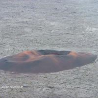 Le formica Léo - Piton de la fournaise - La Réunion