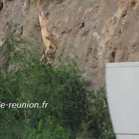 Radar fixe à La Réunion
