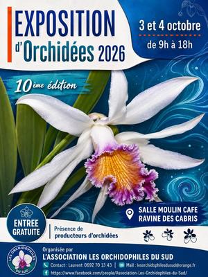 Exposition d’orchidées Sud Réunion