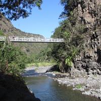 Le pont des lianes (sentier Dassy)