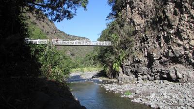 Le pont des lianes (sentier Dassy)