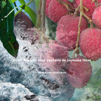 Joyeuses fêtes 2012