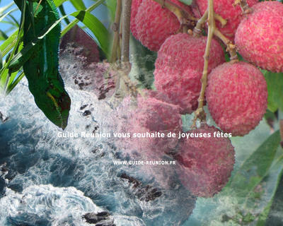 Joyeuses fêtes 2012