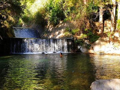 Anciens thermes de Cilaos