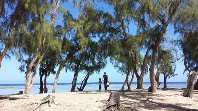 Actualité des plages à Saint-Paul 