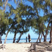 Actualité des plages à Saint-Paul 