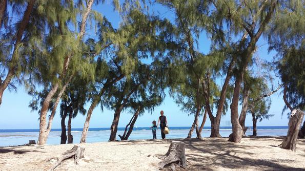 Certaines permettent la baignade en toute sécurité à La Réunion 