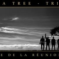 Concert Rondavelle à Saint-Leu (La Réunion)