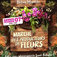 Marché aux fleurs à Ste-Suzanne