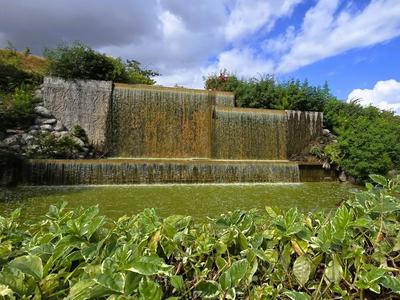 Parc Boisé Le Port - La Réunion