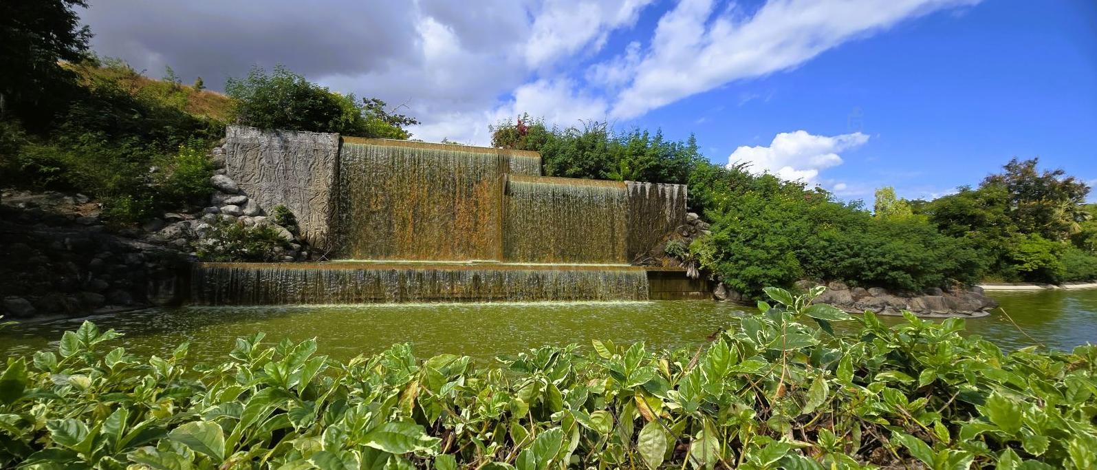 Parc Boisé Le Port - La Réunion