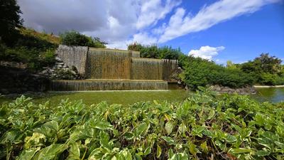 Parc Boisé Le Port - La Réunion