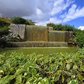 Cascade du parc boisé - Le Port - La Réunion