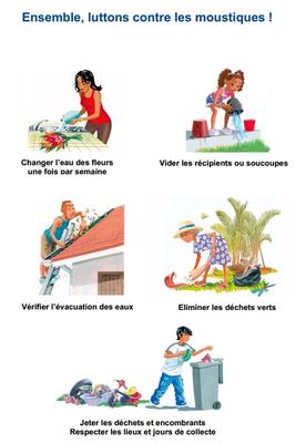 Lutte contre la dengue à l'île de la Réunion (ARS)