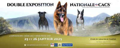 Exposition canine à La Réunion