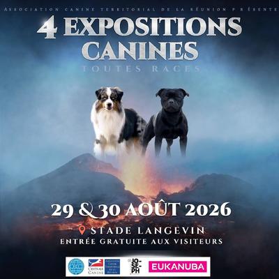 Exposition canine à La Réunion