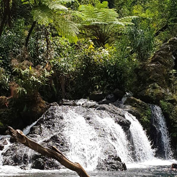 Trou Noir : une jolie cascade à La Réunion