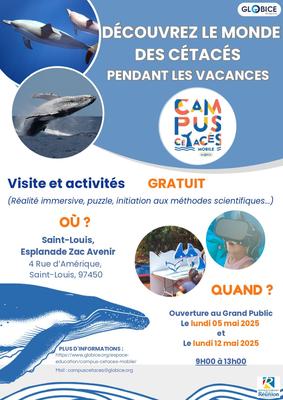 Campus cétacés Globice Réunion