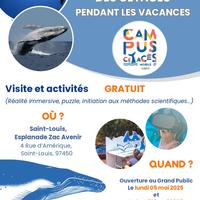 Campus cétacés Globice Réunion