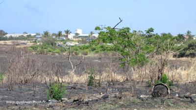 Feu de broussailles à Pierrefonds - St Pierre de la Réunion