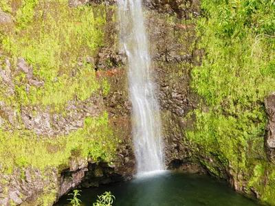 Cascade Biberon - Plaine des Palmistes - La Réunion