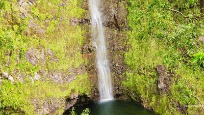Cascade Biberon - Plaine des Palmistes - La Réunion