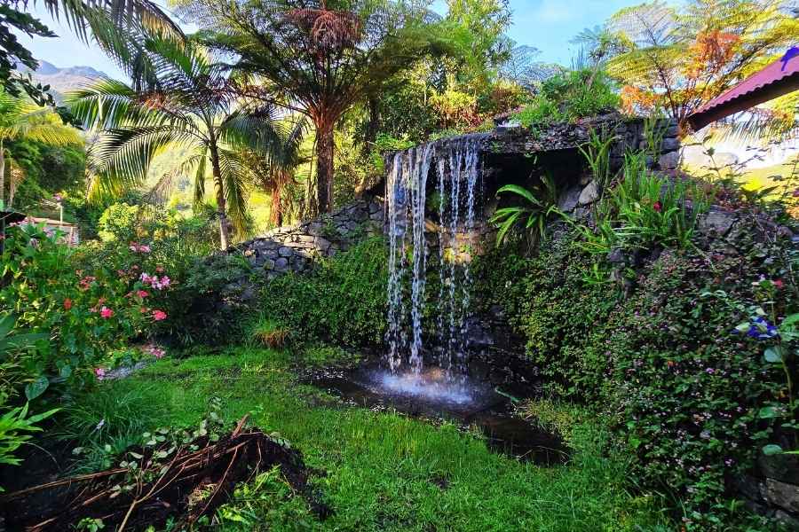 Jardin tropical et cascade