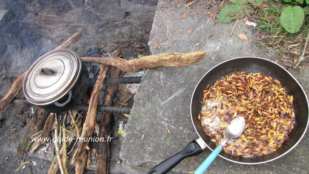 Recette de guêpes au feu de bois à La Réunion