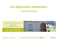 Diagnostic Immobilier - Le guide 974