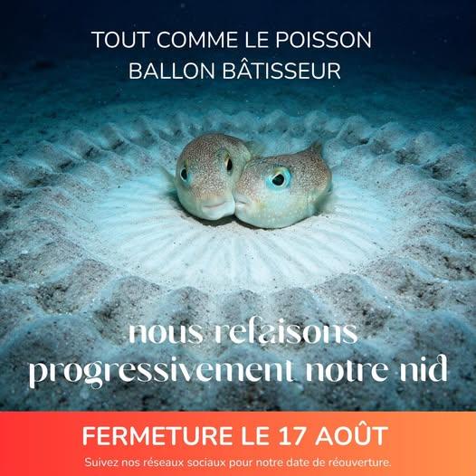 Aquarium de La Réunion - Actualité : fermeture pour travaux
