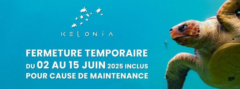 Kelonia fermé pour maintenance Kélonia fermé pour maintenance