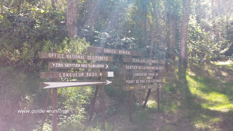 Panneaux visibles depuis la route forestière