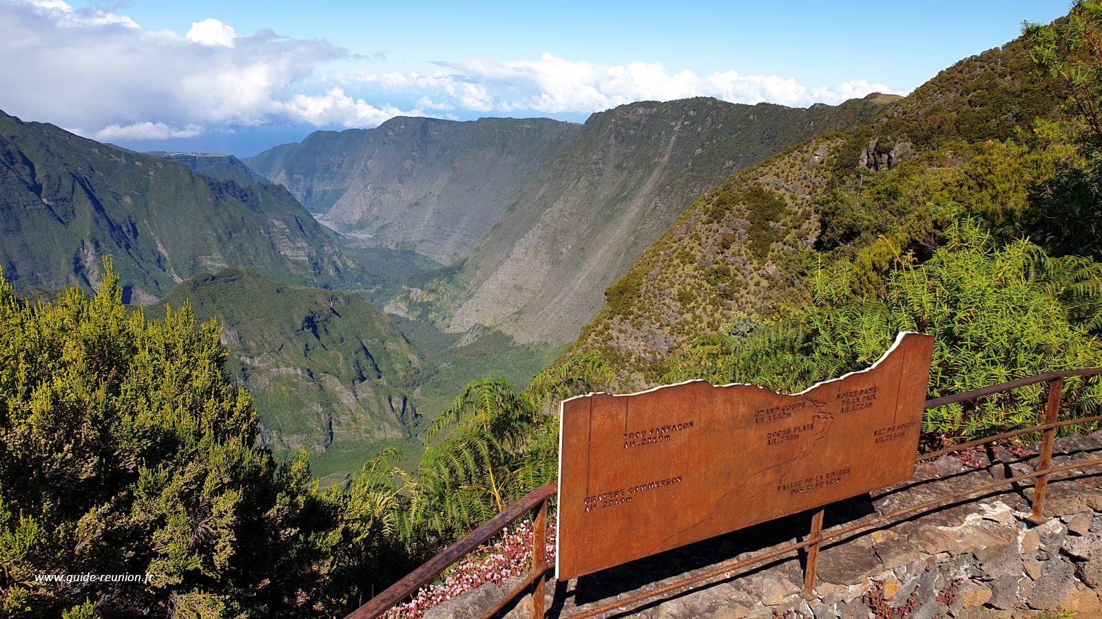 Nez de boeuf la réunion